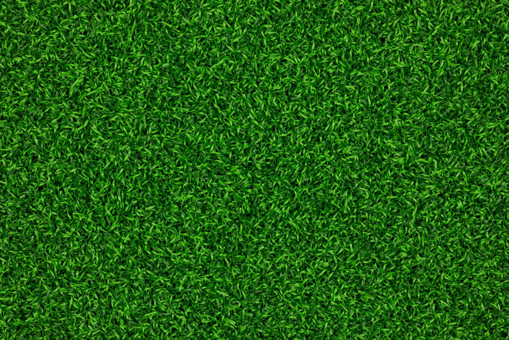 BUDGET LINE TURF FLOORING (LINED)