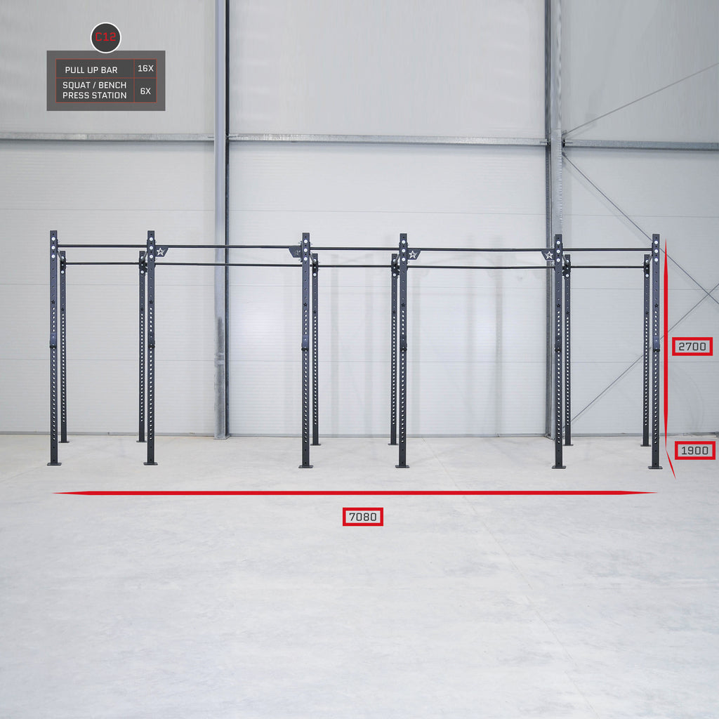 Basic rig from IRONSTAR is a must-have sport equipment for professional fitness studio, crossfit gym and other strenght training gyms and sport teams.